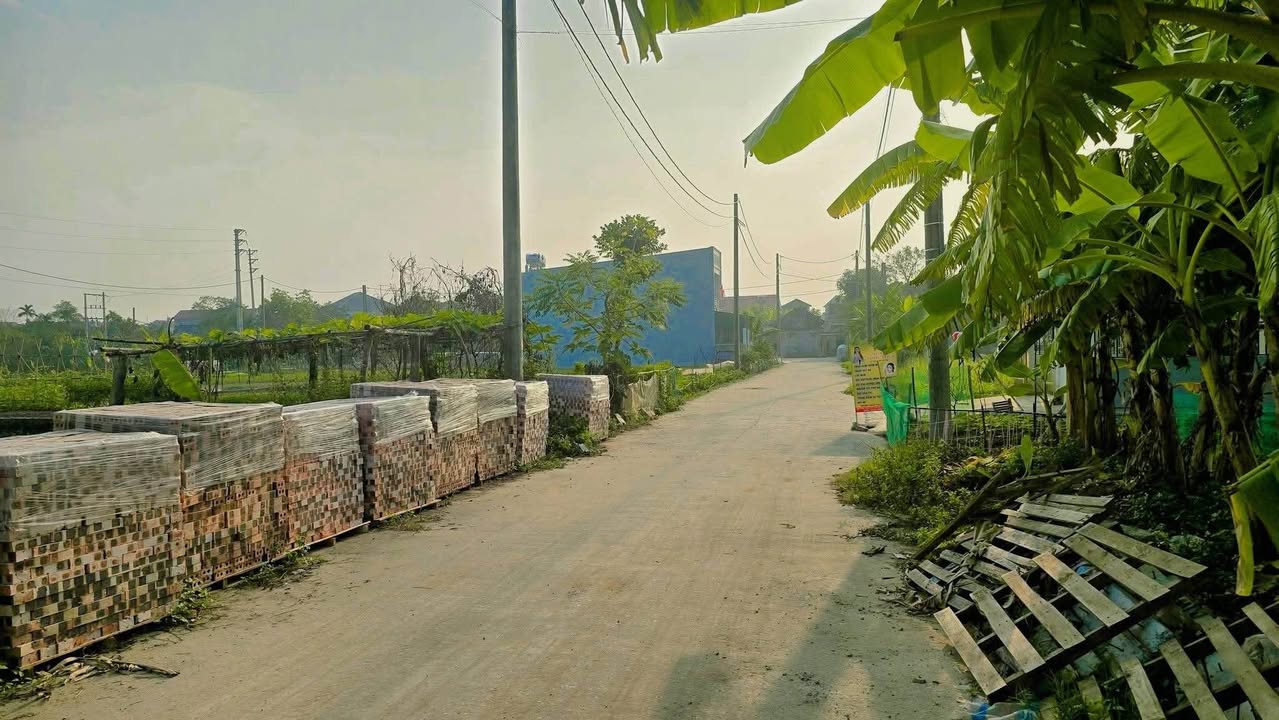 Đất quy hoạch A41 - Cẩm Viên Yên Lạc 105m² giá chỉ 1.9 tỷ - Cơ hội đầu tư hấp dẫn!