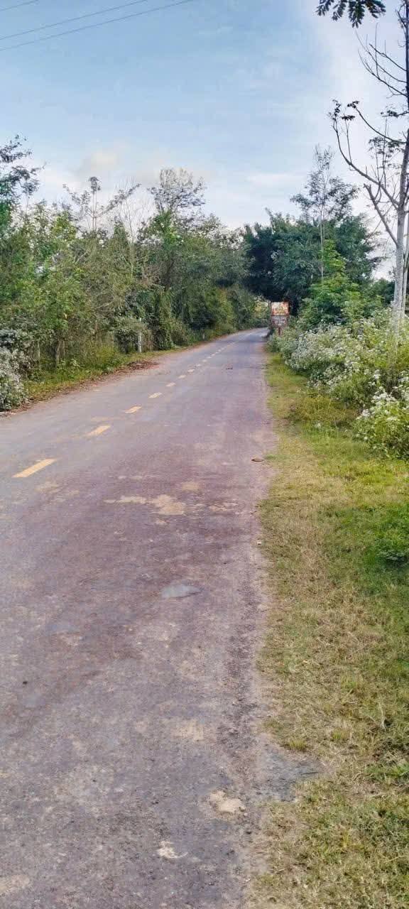 Đất làm kho bãi tại Cư Kuin, Đắk Lắk 2000m² giá 170 tỷ - Cơ hội đầu tư vàng!