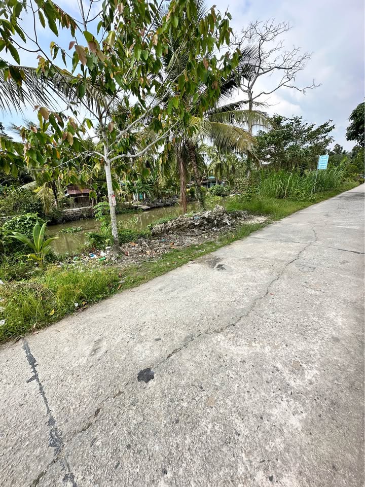 Đất Lộ Ô Tô 413,5m² Thạnh Hòa, Cần Thơ - Giá chỉ 1,23 tỷ!