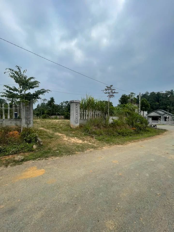 Đất thổ cư 200m² xã Lam Vỹ 627m² chỉ 590 triệu - Giá tốt cho nhà đầu tư!