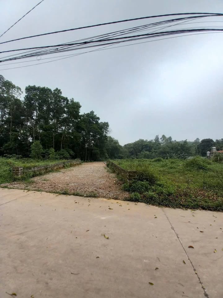 Đất nền phường Tích Lương, Thái Nguyên 113,5m² chỉ 800 triệu - Tiềm năng đầu tư cao!