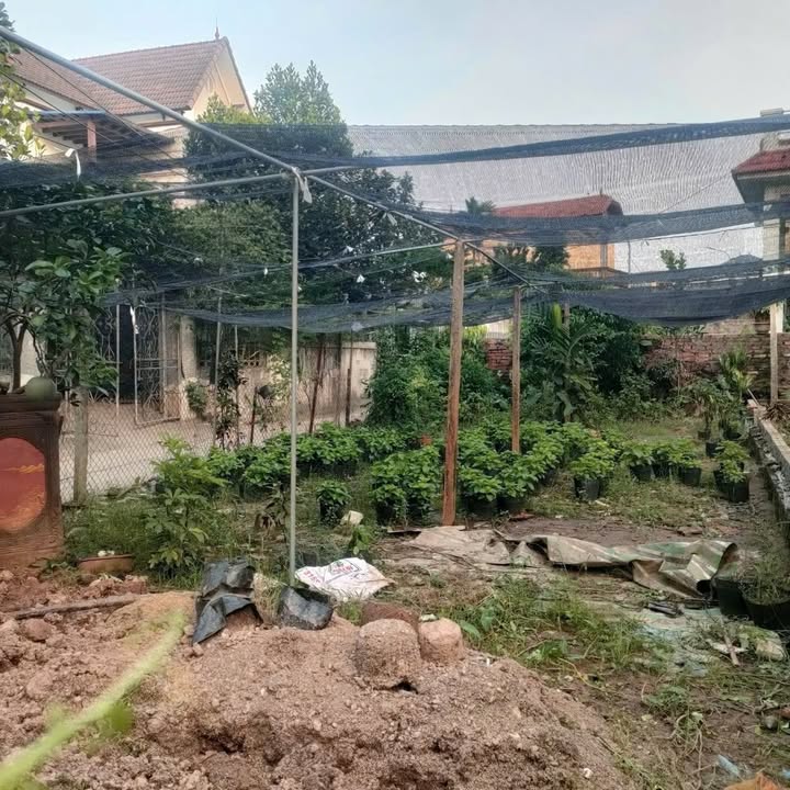 Đất Làng Hoa Phụng Công - Văn Giang 85,4m² chỉ 3 tỷ - Vị trí đắc địa, đầu tư sinh lời!