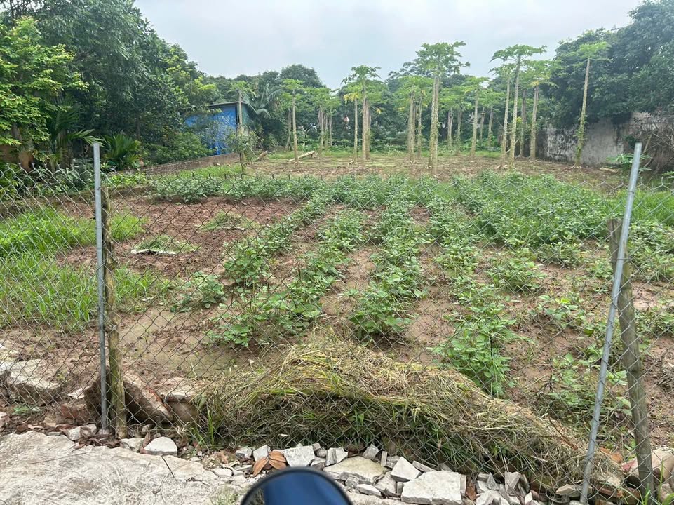 Đất nền Đông Kết Khoái Châu 367m² - Giá thỏa thuận, vị trí đẹp gần sông!