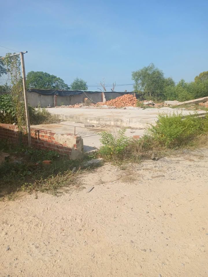 Đất nền Vũng Tàu hẻm 163B, 150m² chỉ 650 triệu - Cơ hội đầu tư tuyệt vời!