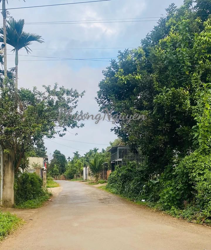 Đất nền Hẻm 124 Nguyễn Thái Bình, Tân Lập 360m² giá 974 triệu - Đầu tư sinh lời ngay!