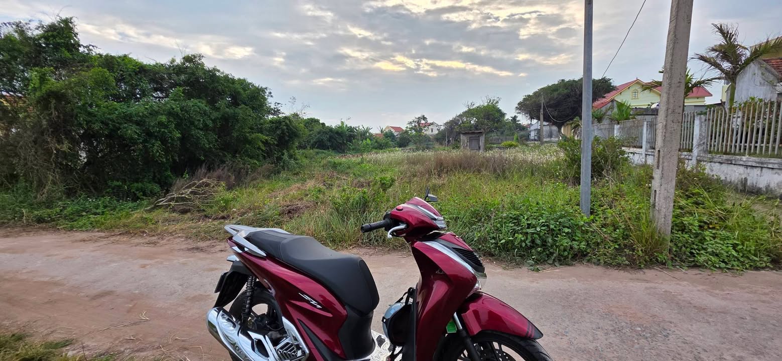 Đất nền mặt tiền 23m Xóm Tây Bình Hải Triều 650m² - Phù hợp xây nhà nghỉ dưỡng!