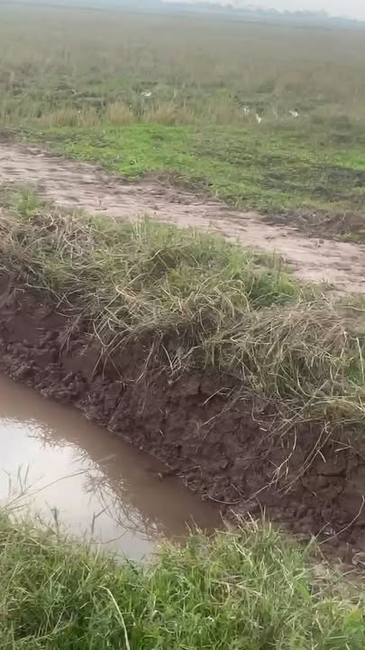 Đất nền Giao Châu, Giao Thủy 250m² - Giá thỏa thuận hấp dẫn!