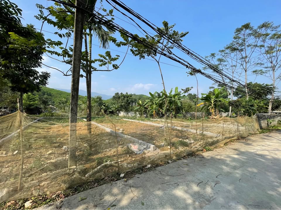 Đất nền Cao Dương, Lương Sơn 100m² giá 400 triệu - Nhanh tay sở hữu!