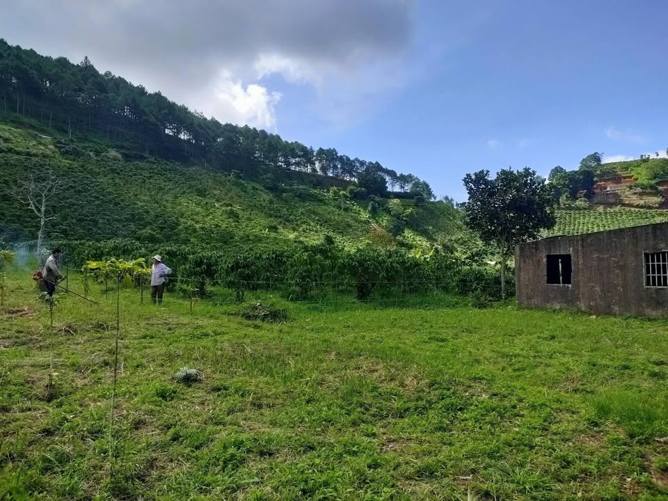 Đất nền Lạc Sơn, Lâm Hà 1642m² chỉ 490 triệu - Cơ hội đầu tư tuyệt vời!