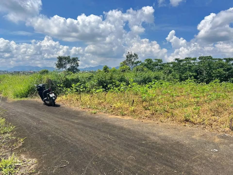 Đất thổ cư Hẻm 130 Phùng Hưng 200m² giá 930 triệu - Cơ hội đầu tư tuyệt vời!