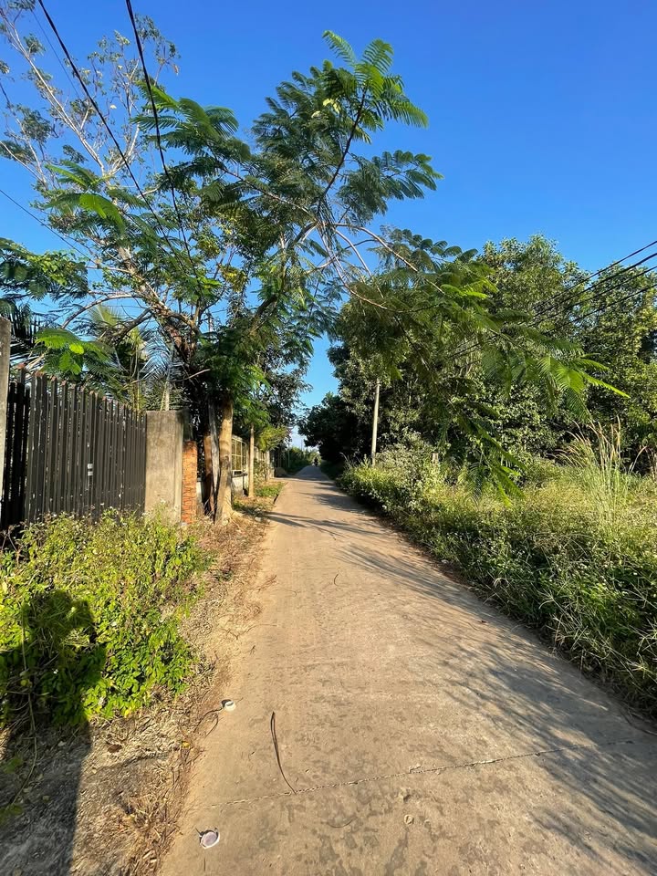 Nhà cấp 4 Định Quán 160m² giá 800 triệu - Sẵn sàng dọn vào ở ngay!