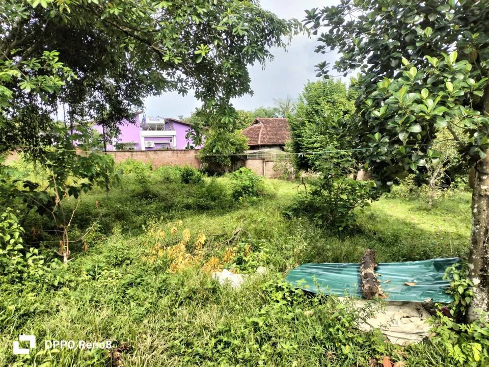 Đất nền thôn Chóng, Yên Bài, Ba Vì 600m² giá thỏa thuận - Tiềm năng nghỉ dưỡng tuyệt vời!