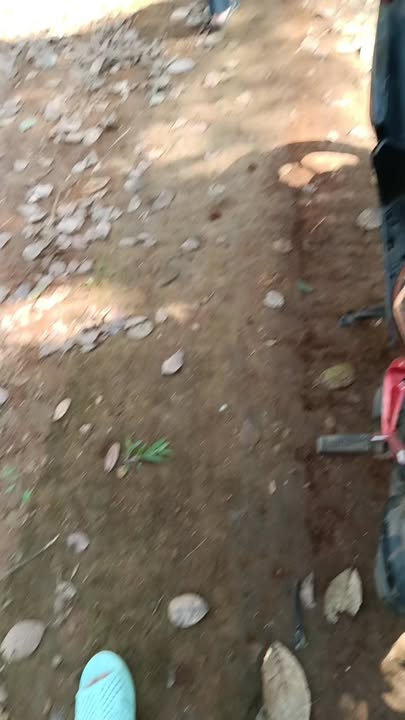 Đất nông nghiệp 58.000m² tại Thọ Sơn, Bù Đăng - Giá tốt chỉ 4.524 tỷ VND!