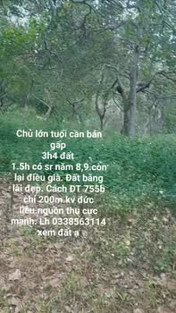 Đất nền Bù Đăng 31.000m² - Cách ĐT 755B chỉ 200m - Cơ hội đầu tư hấp dẫn!