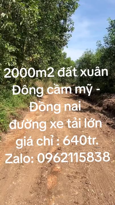 Đất nền Cẩm Mỹ Đồng Nai 2000m² chỉ 640 triệu - Cơ hội đầu tư tuyệt vời!