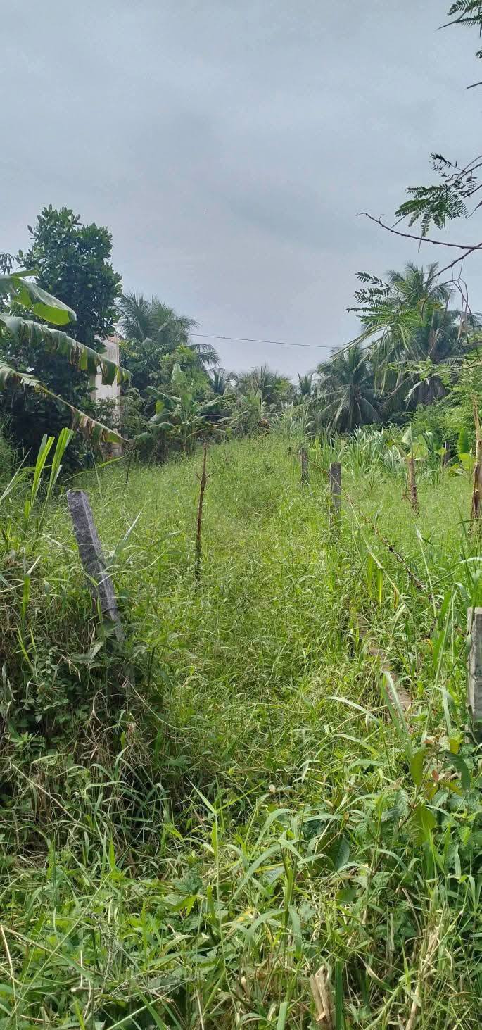 Đất mặt tiền HL12, xã Tân Hưng, Ba Tri 400m² - Giá chỉ 1.2 tỷ VND, thương lượng chính chủ!