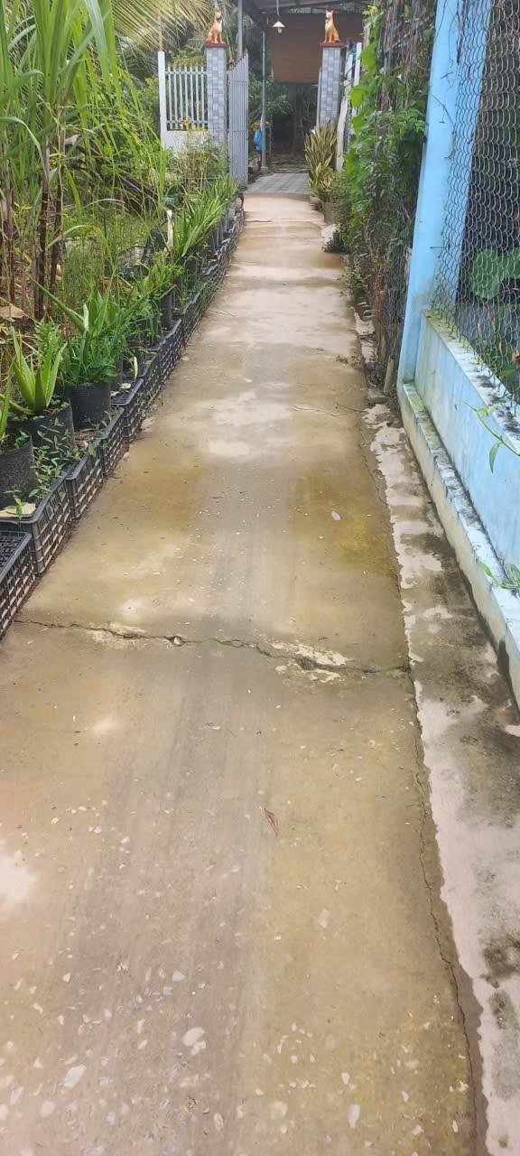 Đất mặt tiền sông Ba Lai Phú An Hòa 3150m² giá 4.25 tỷ - Cơ hội đầu tư tuyệt vời!