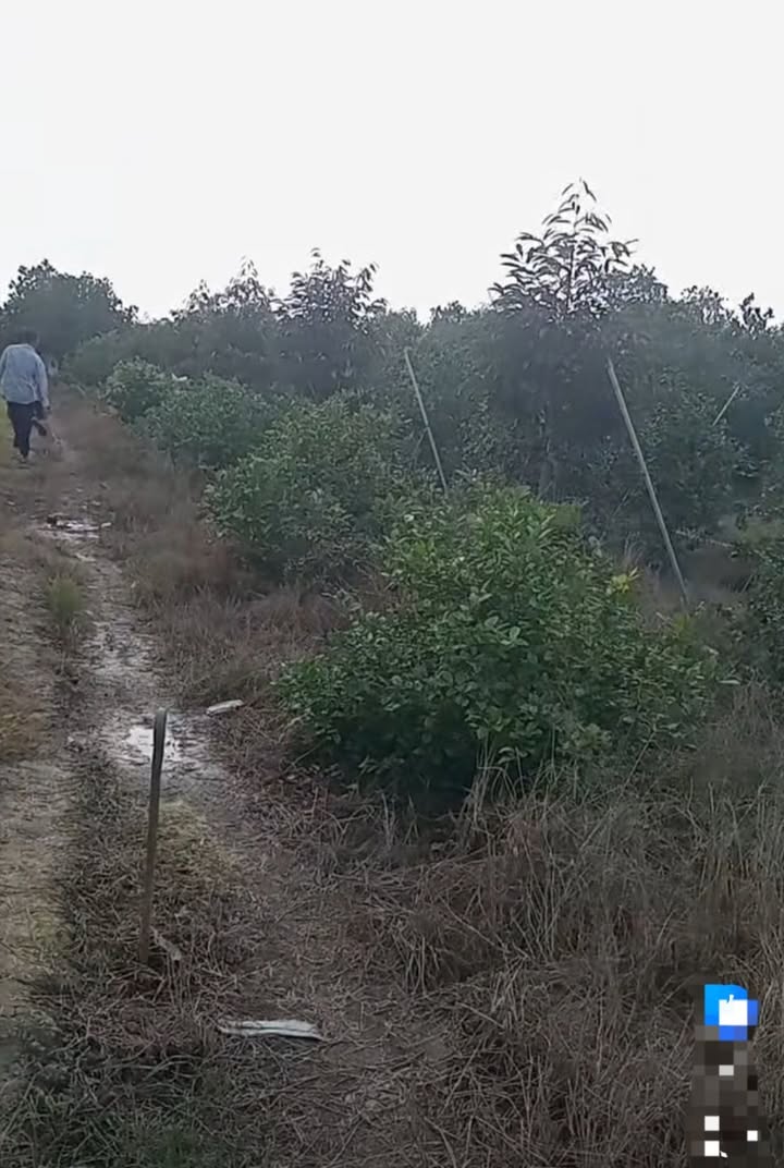 Đất nền Hòa Khánh 2800m² giá 550 triệu - Mặt tiền đường lớn, đầu tư sinh lời!