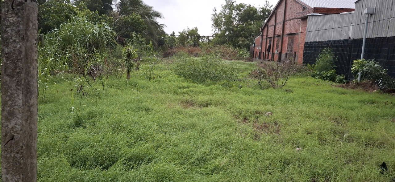 Đất nền mặt tiền Tỉnh Lộ 865, 930m² giá 48.125 tỷ - Đầu tư sinh lời tại Tiền Giang!