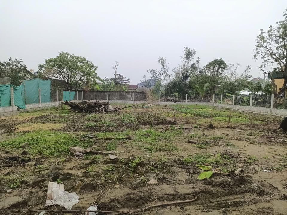 Đất nền Thạch Hà 200m² - Đường bê tông 6m, giá thỏa thuận hấp dẫn!