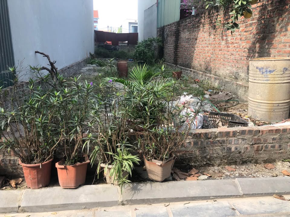 Đất nền Lê Hữu Tựu, Bắc Hồng 104m² - Tiềm năng sinh lời tăng gấp đôi!