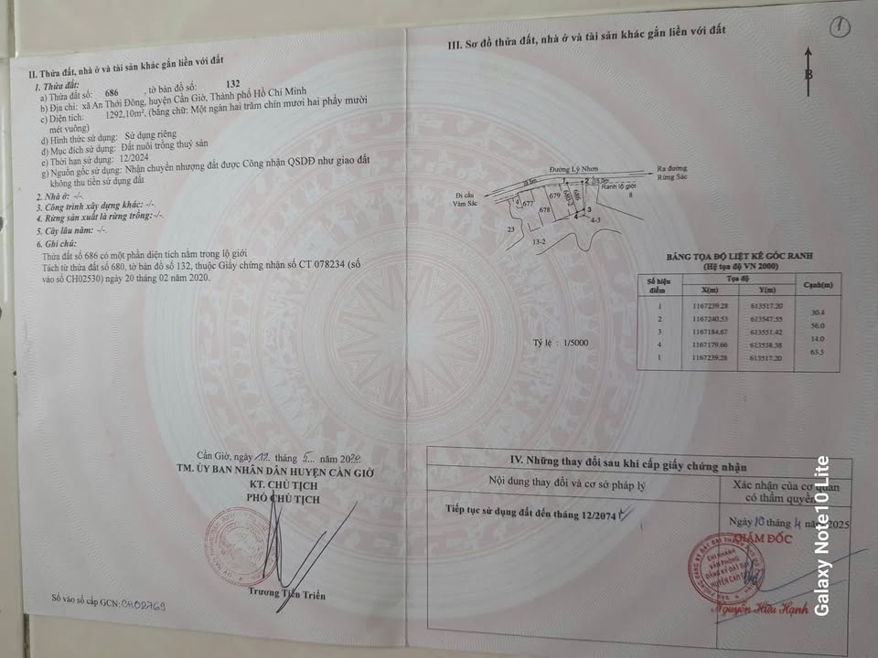 Đất nền Cần Giờ 1292m² - Mặt tiền đường Lý Nhơn, sổ đỏ chính chủ!