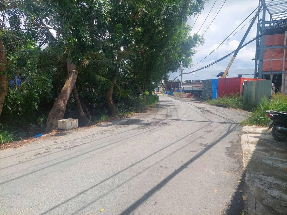 Đất mặt tiền đường Tân Long, Bình Chánh 925m² giá 11.5 tỷ - Bán gấp, lỗ vốn!