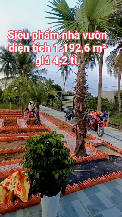 Nhà vườn Bến Lức 1.191m² giá 4.2 tỷ - Không gian sống lý tưởng!