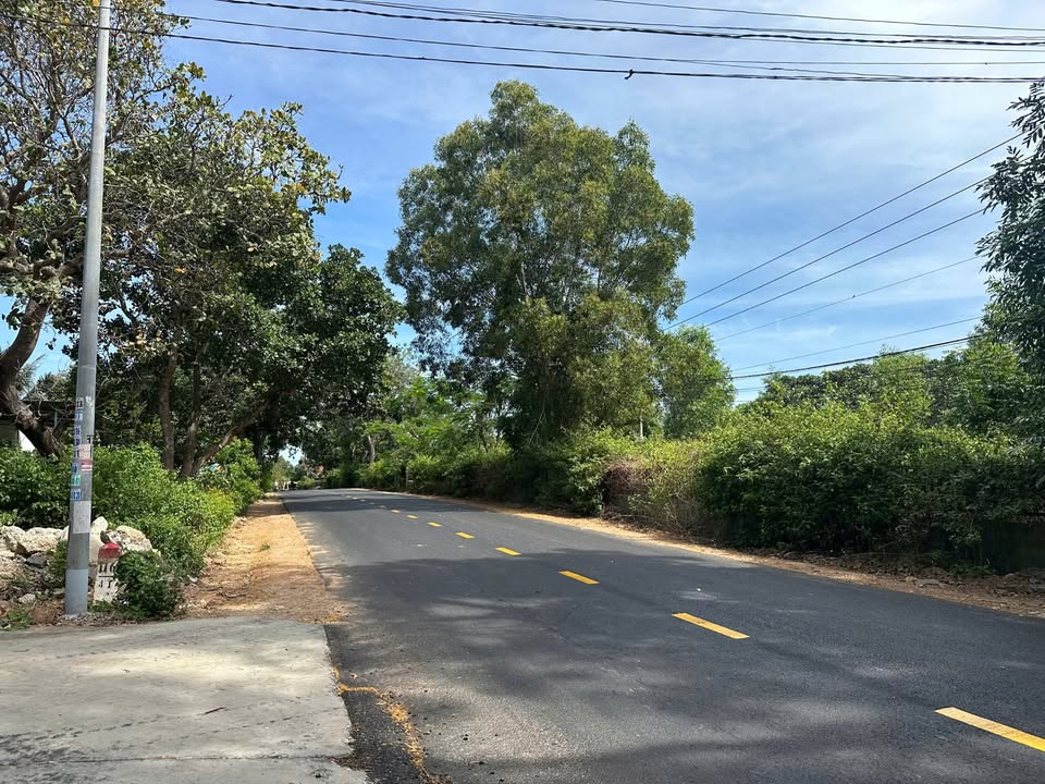 Bán lô đất cây lâu năm 9800m² tại Mũi Né - Giá 18 tỷ - Pháp lý rõ ràng