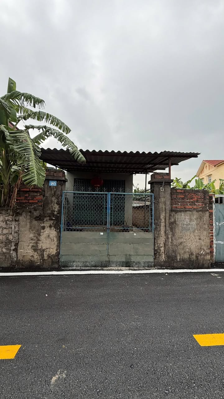 Đất + Nhà cấp 4 tại Mạo Khê, Đông Triều 117.5m² giá 1 tỷ - Cơ hội đầu tư hấp dẫn!