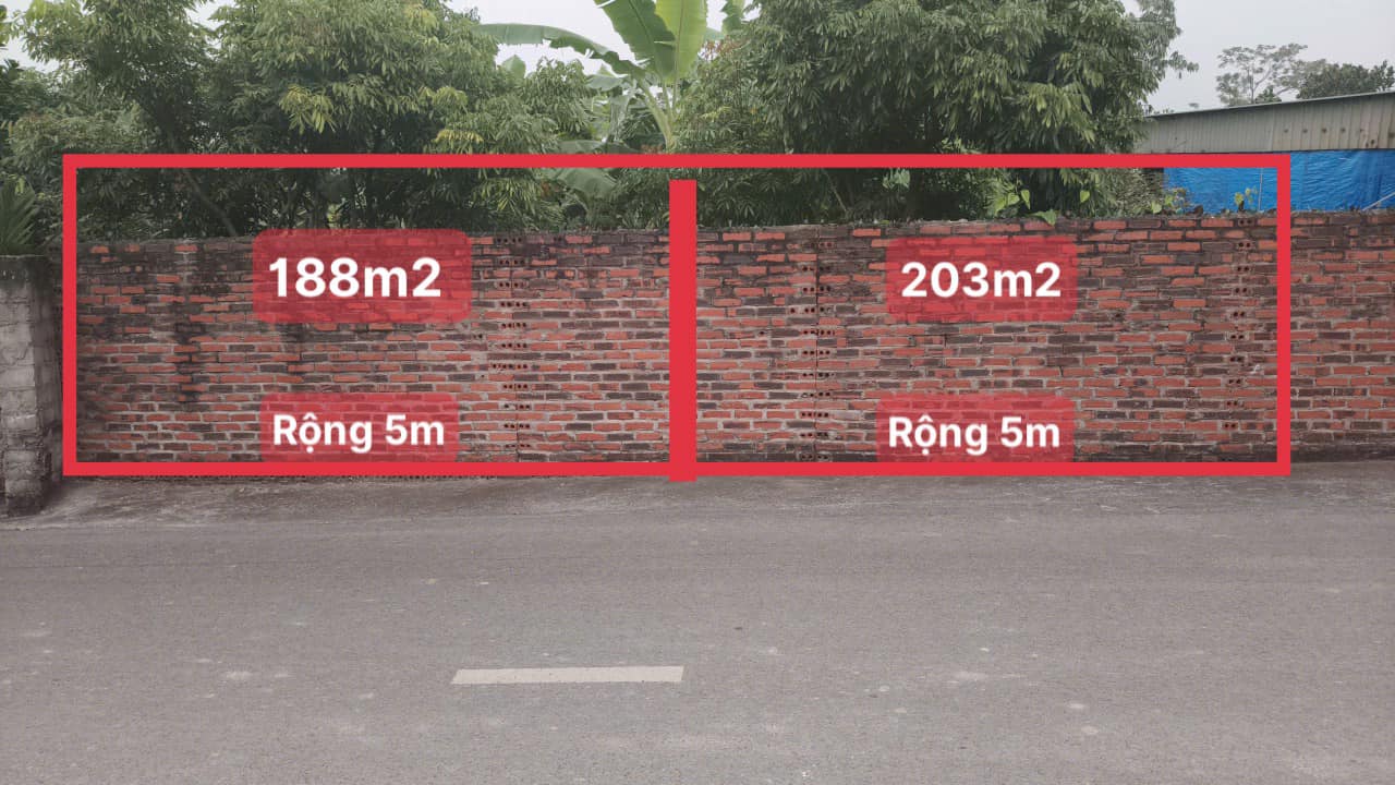 Đất liền kề Kim Sơn, Tràng An, Đông Triều 391m² - Cơ hội đầu tư tuyệt vời!