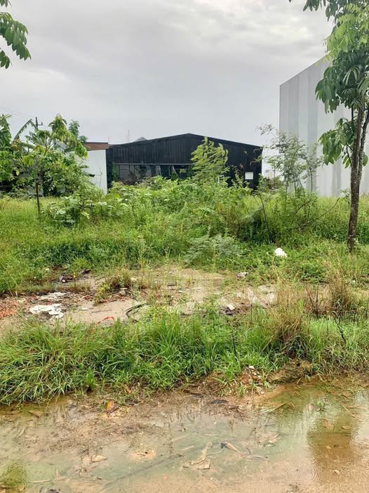 Đất nền mặt tiền Xuân Phú 100m² giá 4 tỷ - Đầu tư sinh lời ngay!