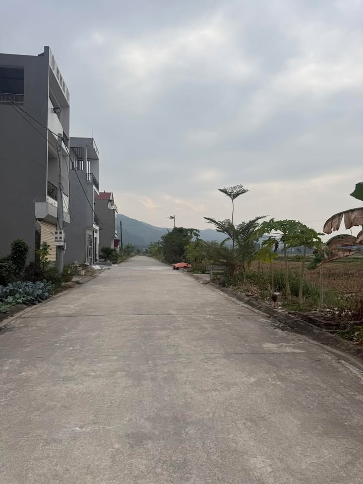 Đất nền xã Xuân Phú, Yên Dũng 100m² giá 2.6 tỷ - Vị trí đẹp, dân cư đông đúc!