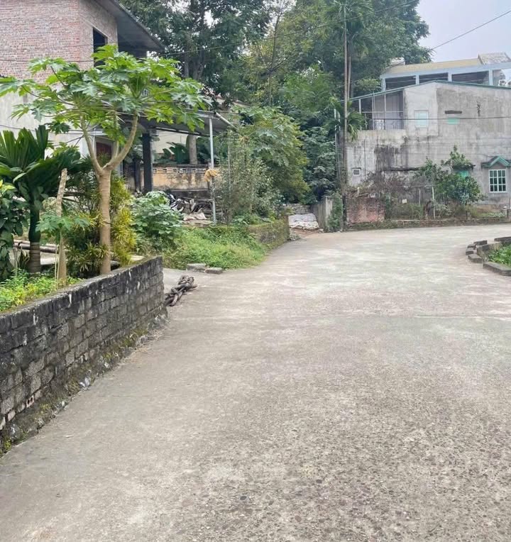 Đất nền Phan Thiết 130,5m² giá 2 tỷ - Vị trí đẹp, giao thông thuận lợi