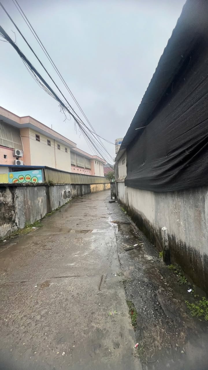 Đất 2 mặt tiền Phú Xá 60m² giá chỉ 900 triệu - Đầu tư sinh lời ngay!