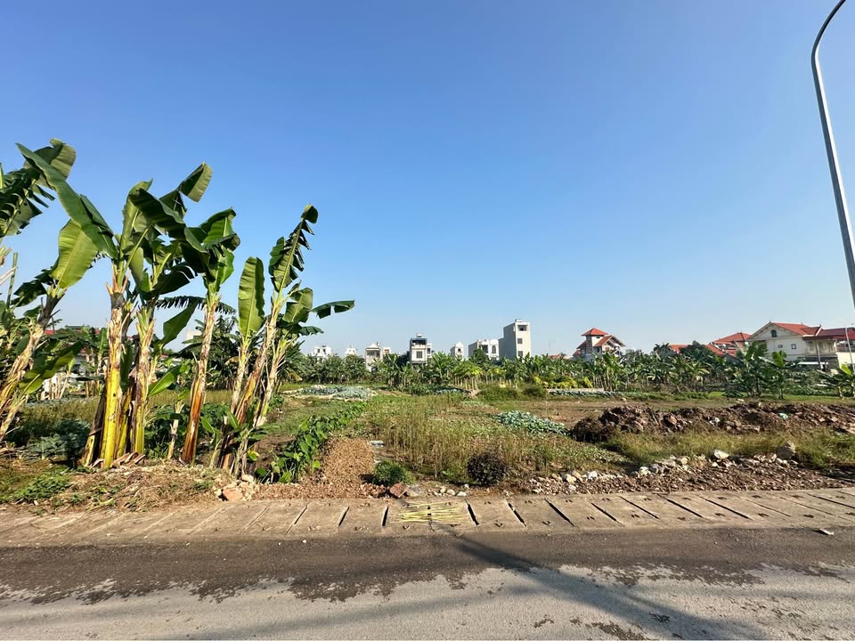 Đất nền biệt thự Dương Quan, Thủy Nguyên 120m² giá 5.5 tỷ - Đầu tư sinh lời cực tốt!