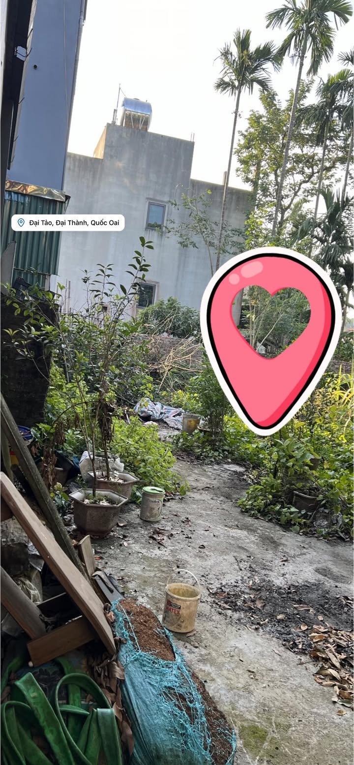 Lô đất Đại Tảo, Đại Thành, Quốc Oai 148.2m² - Giá thương lượng hấp dẫn!