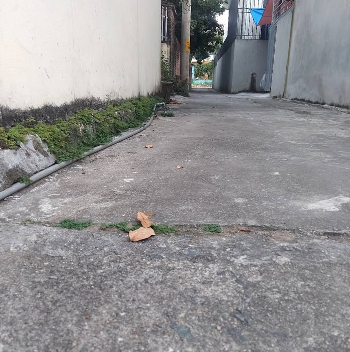 Đất nền Đắc Sở, Hoài Đức 45.6m² giá chỉ 3 tỷ - Sổ đỏ chính chủ, công chứng ngay!