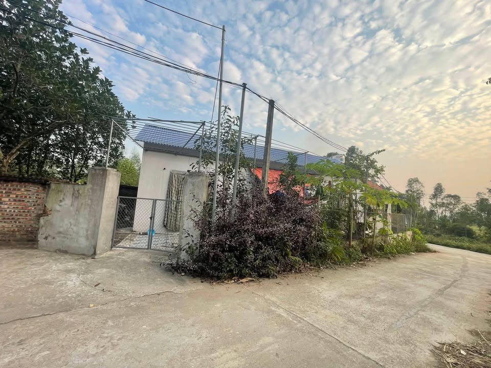 Nhà cấp 4 Xuân Hòa, Phúc Yên 150m² giá 900 triệu - Vị trí đắc địa gần Hồ Đại Lải!