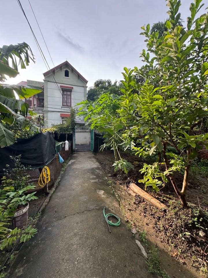 Đất nền Mai Lâm – Đông Anh 225m² giá 14 tỷ - Sổ đỏ chính chủ, đầu tư sinh lời!