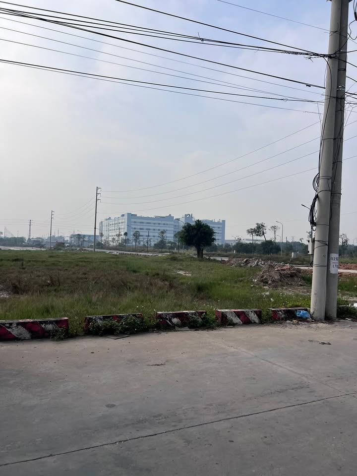 Đất thổ cư Dũng Liệt Yên Phong 100m² giá 3 tỷ - Đầu tư sinh lời ngay!