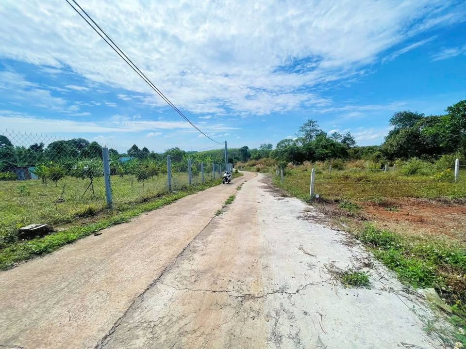 Đất nghỉ dưỡng 500m² tại Suối Tre, Long Khánh - Giá 690 triệu, đầu tư sinh lời!