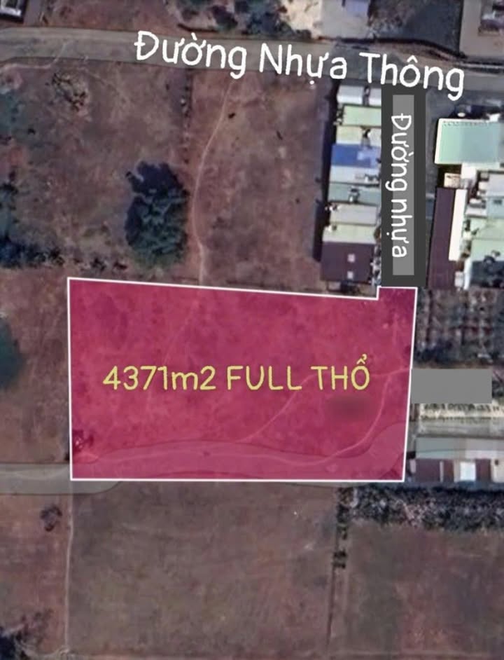 Đất nền 4371m² đường Nguyễn Thị Thử, Hóc Môn - Sổ hồng chính chủ, giá tốt!
