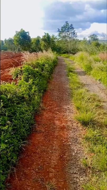 Đất nền Đắk N'Drung 11.000m² giá 1.6 tỷ - Gần mặt đường cấp phối