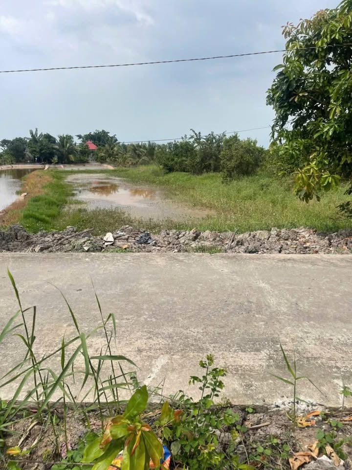 Đất nền Tân Phú, Đồng Tháp 1000m² giá 760 triệu - Cơ hội đầu tư tốt!