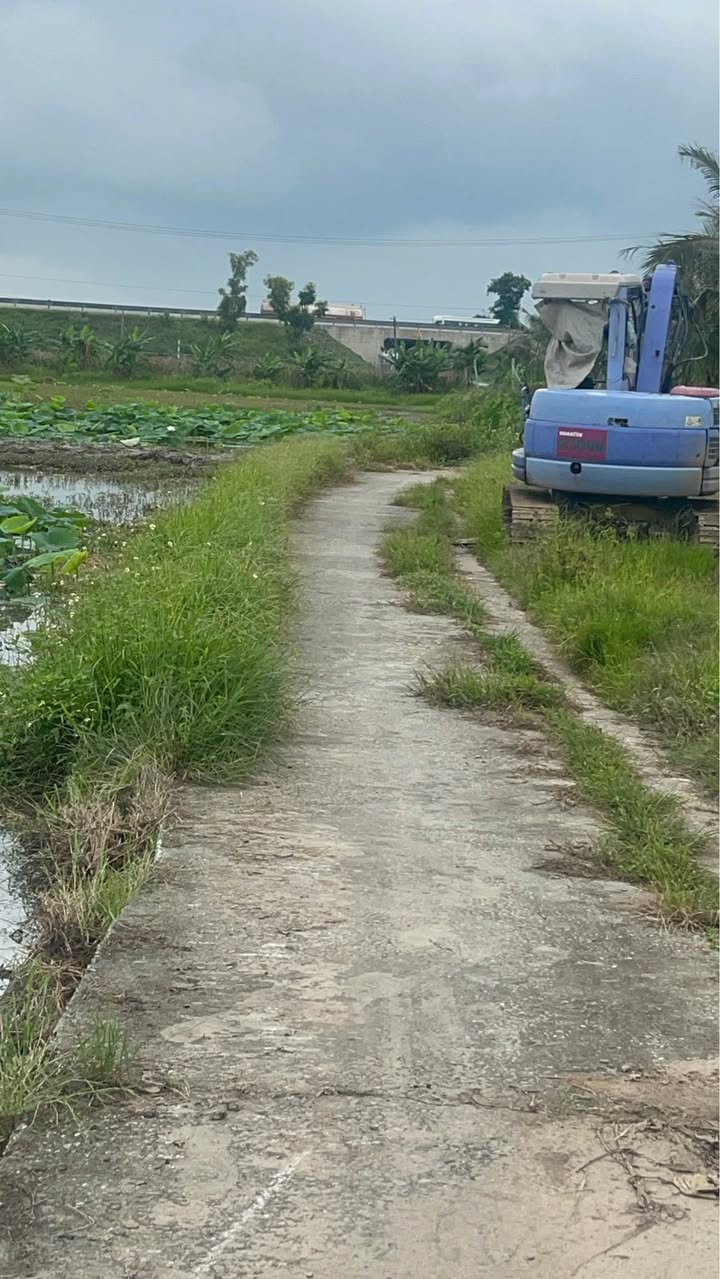 Siêu phẩm nhà vườn tại Thạch Lựu 1, An Thái 4438m² - Chỉ 2 tỷ, sẵn sàng ở ngay!