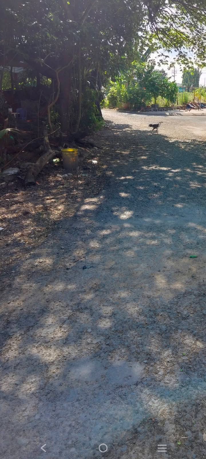 Đất nền 1140m² tại Phường 11, Cao Lãnh, Đồng Tháp - Giá chỉ 5 tỷ, phù hợp đầu tư!