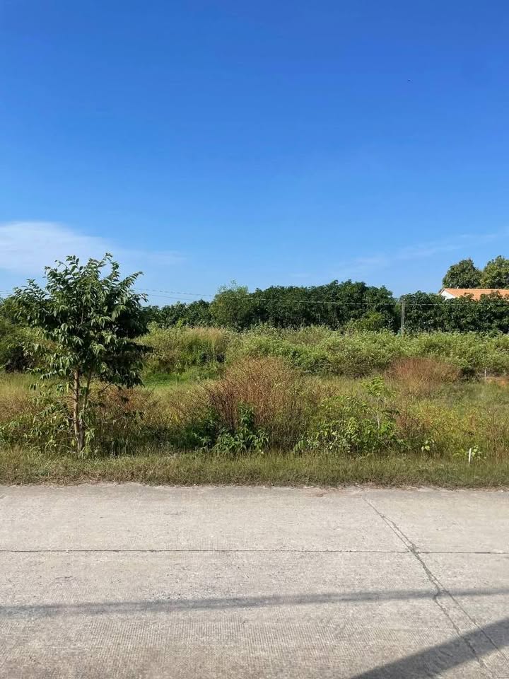 Đất thổ cư 80m² tại Đức Hoà Thượng, Long An giá 599 triệu - Sổ hồng riêng, mặt tiền đường lớn!