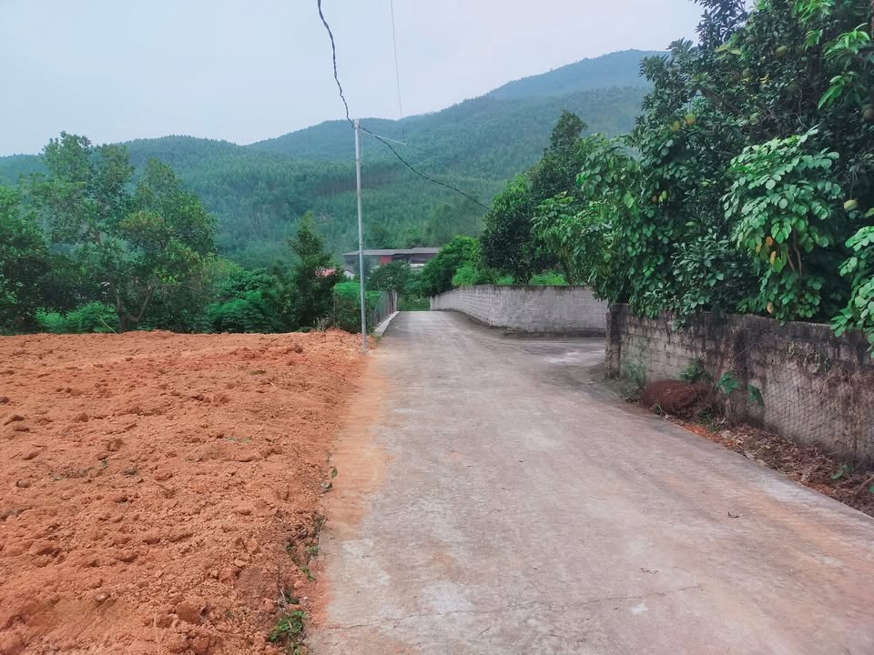 Đất thổ cư 517m² xã Yên Lãng, Sông Lô – Cơ hội đầu tư hấp dẫn chỉ 1 tỷ!