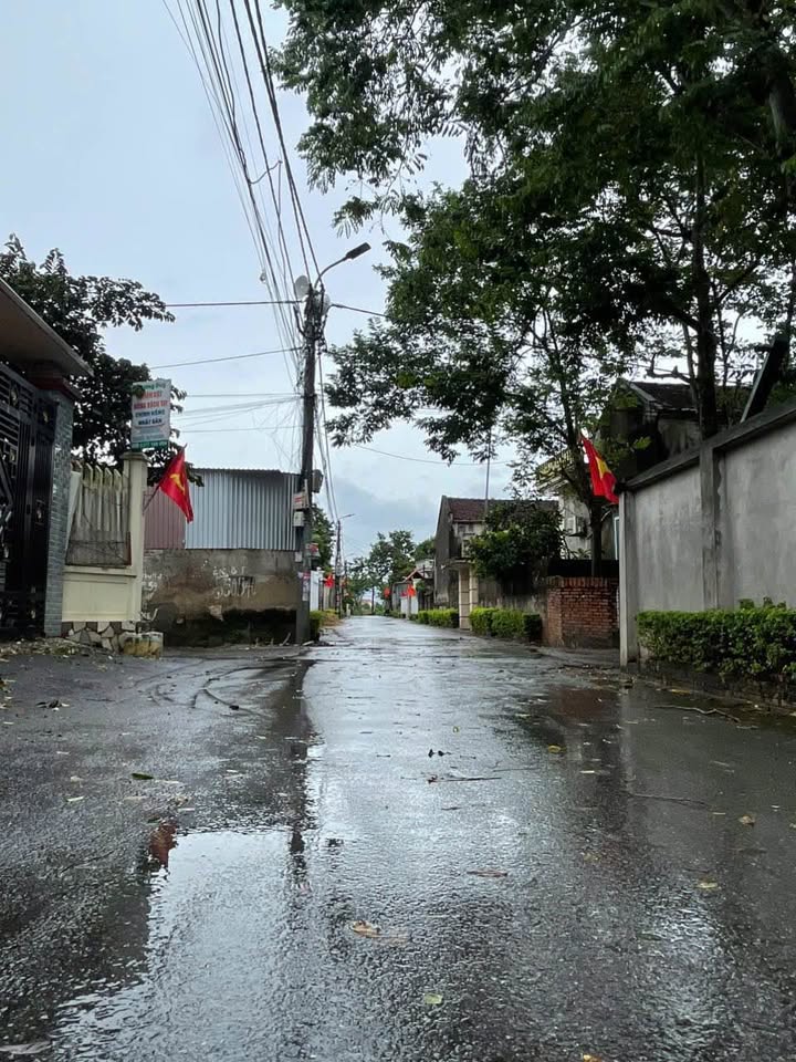 Đất nền Nho Lâm, Tam Hồng 170m² giá 1.7 tỷ - Cơ hội đầu tư tuyệt vời!